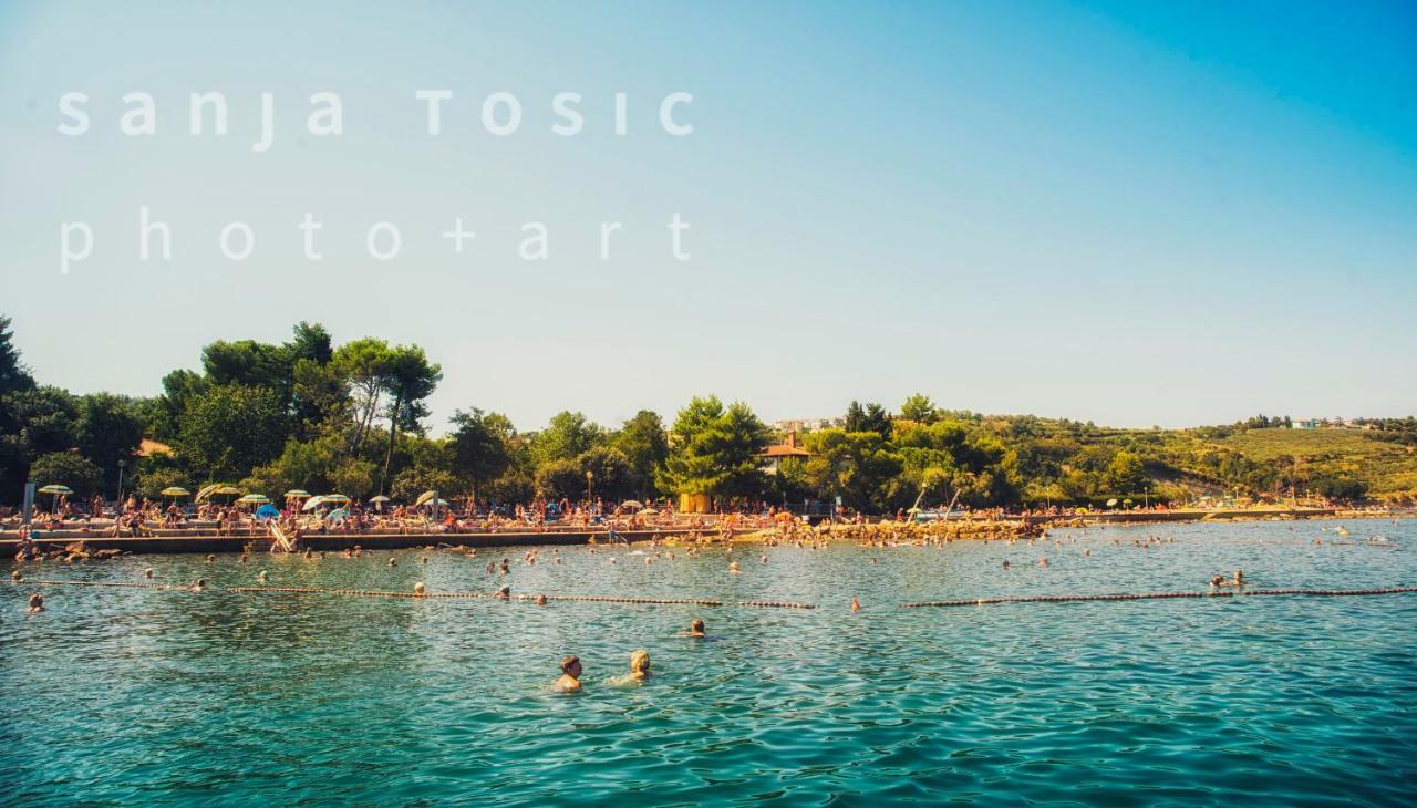 Vila Magenta, Terrace, Free Parking Izola Exterior foto